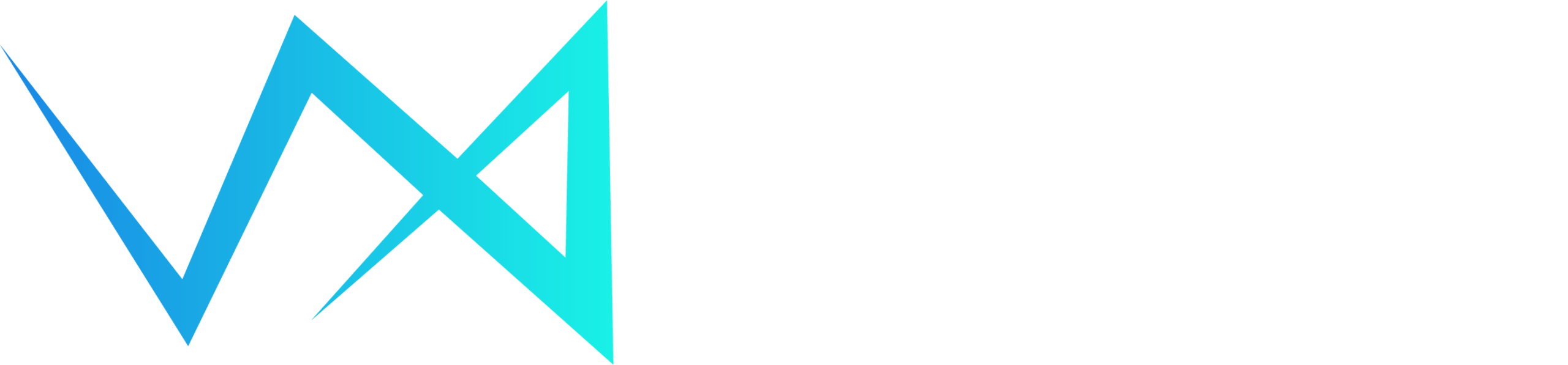 VisionX Security Final Logo with white color text 1